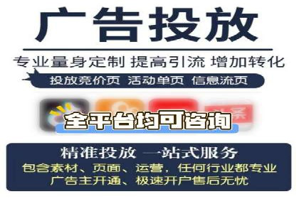 知名SEM服务公司成功案例分享